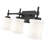 Zowie 3 Light Vanity-100157116