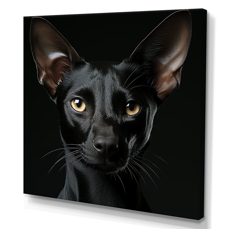 Oriental Elegance Black Cat Portrait - reproduction d'art sur toile, H 16 po x l 16 po x P 1 po, Toile tendue