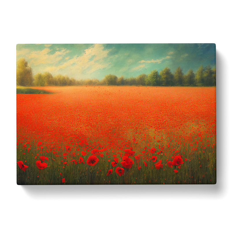 Radiant Poppies Flowers - Wrapped Canvas, 35cm H x 50cm W x 3cm D