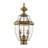Arelene Lantern Head-1387936253-1387936128