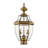 Arelene Lantern Head-1387936253-1387936130