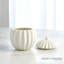 Spicchi Line Bowl W/Lid-Matte White-Lg-1754589974