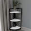 Addley Bookcase-1157206861-1179544699