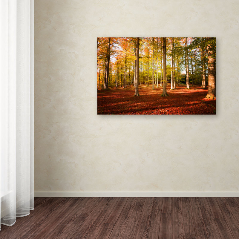 Philippe Sainte-Laudy - Photograph on Canvas, 30" H x 47" W x 2" D