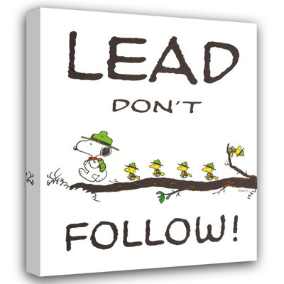 Lead Do not Follow