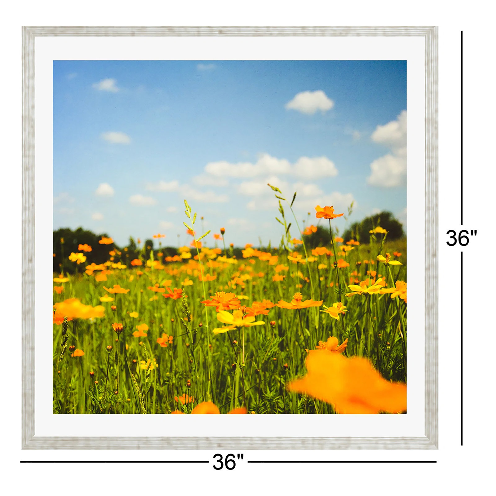 Summertime Good Vibes by Olivia St Claire, Yes, Silver Single Picture Framed, 36" W x 36" H