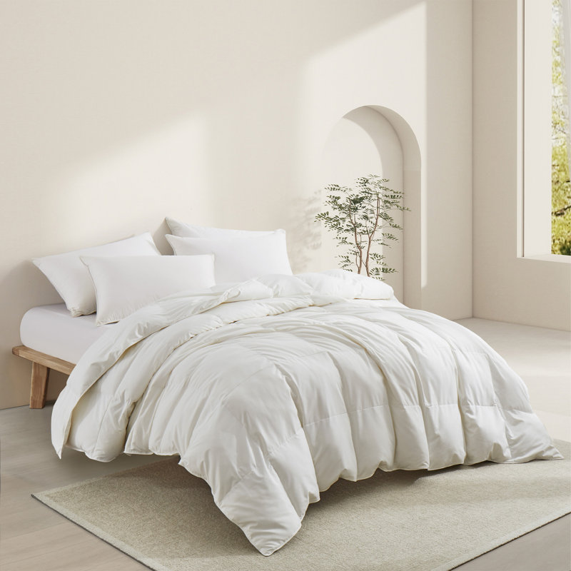 All Season Goose Feather Fiber Comforter – Machine Washable White Down & Feather Blend Duvet Insert, Medium Weight Hotel Collection Bedding