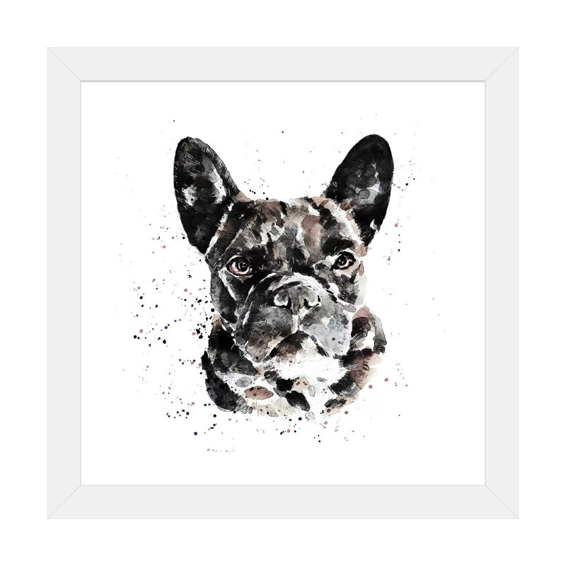 « Black Frenchie » par Edwatercolours-impression, H 24 po x l 24 po x p 1 po, Papier encadré blanc, Blanc