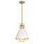 Luminaire suspendu simple Agripina-2101204155