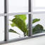 Miroir mural Haider-245215072-245214364-245283436