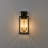 2-light Outdoor Wall Lantern with Clear Glass Shade-1232071209
