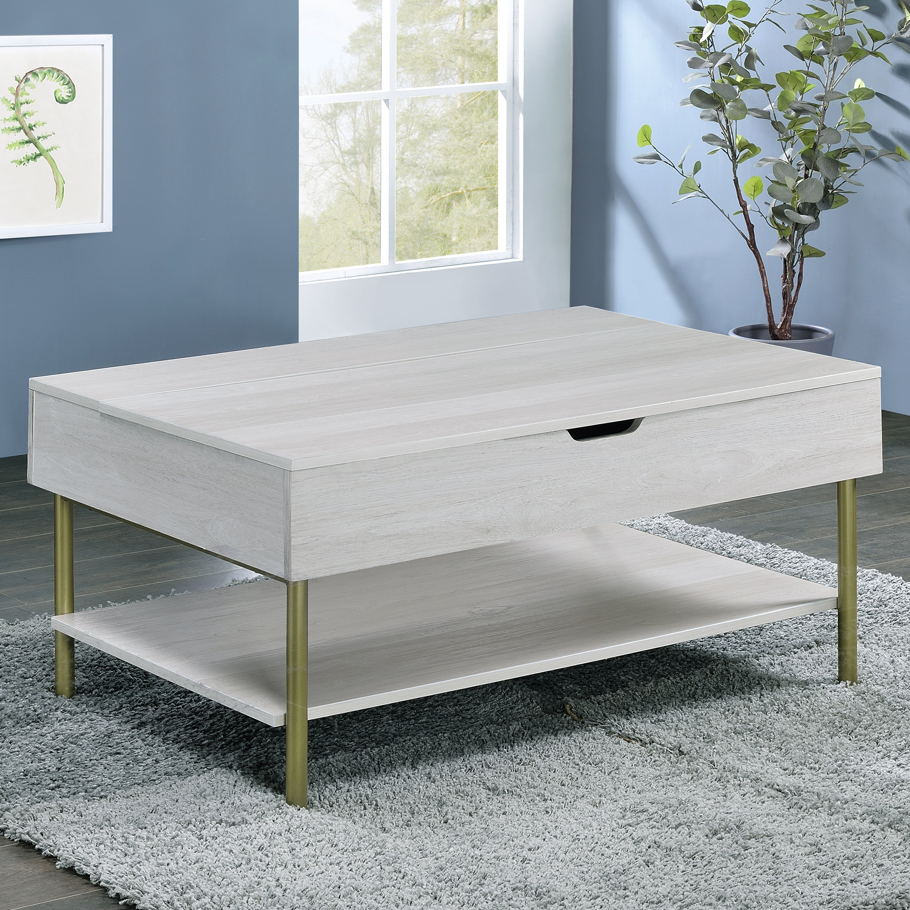 Everly Quinn Ashrfi Lift Top Extendable 4 Legs Coffee Table with ...