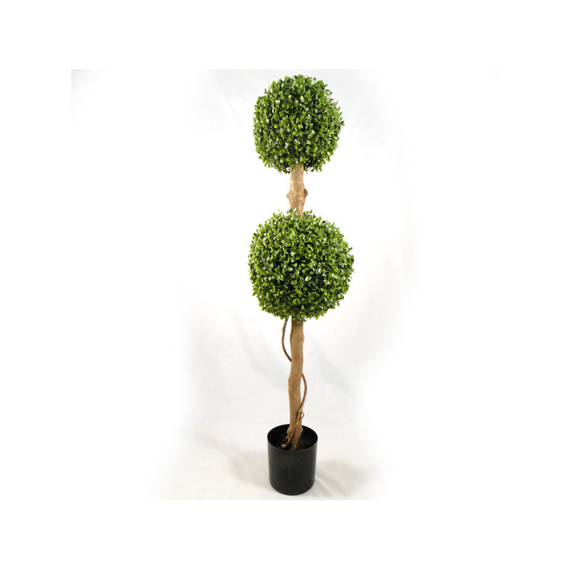 90cm Boxwood Tree