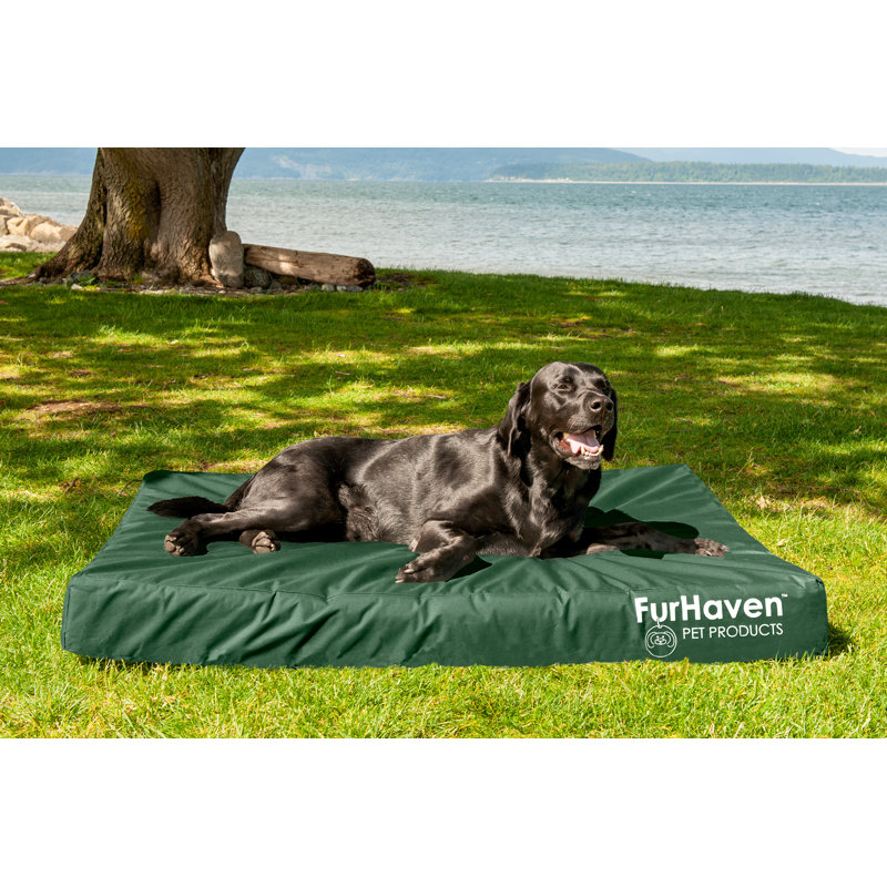 Jumbo Forest Green Orthopedic Foam Outdoor Pet Bed