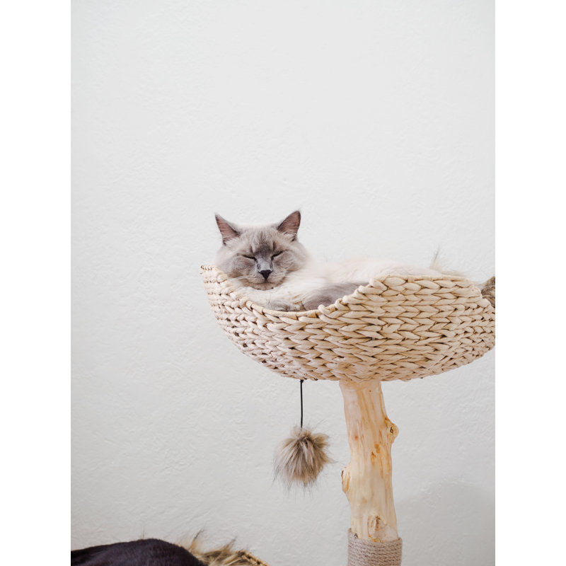 Arbre à chat 46 po Seeman, Brun