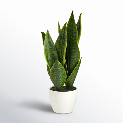 16'' Faux Snake Plant (Sansevieria) Succulent in Planter