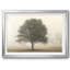 Arbres dans le brouillard I-190596858-190596857