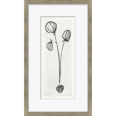 Pods Giclee Print by Susan Hable
