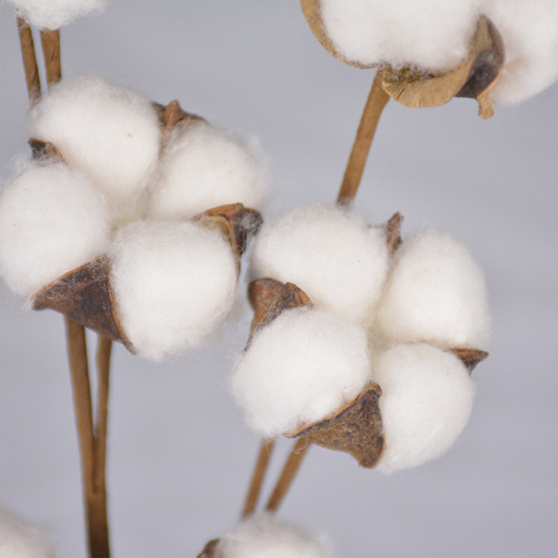 21.6 " Cotton Arrangement