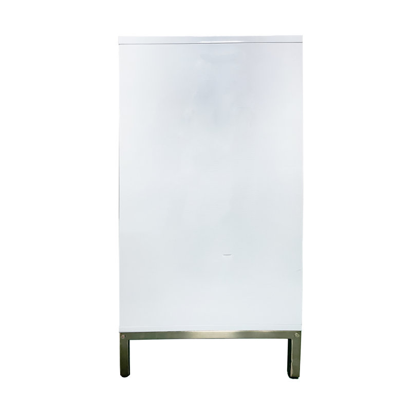 Sally Accent Glossy Cabinet In White