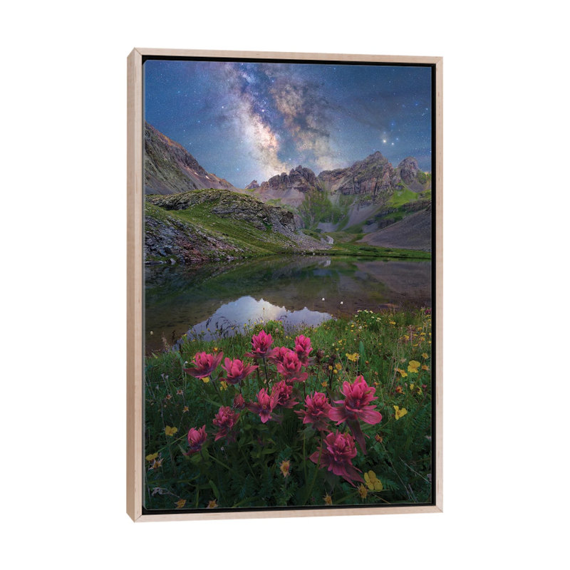 San Juan Mountains Indian Paintbrush Wildflower Milky Way Nightscape by Daniel Forster - Gallery-Wrapped Canvas Giclée on Canvas