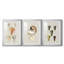 Coquilles antiques sur lin VI - impression sur mesure encadrée de qualité supérieure - 3 pièces-516661550