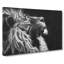 Majestic Lion Illustration - Wrapped Canvas-56634132