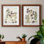Pressed Flower Arrangement V - Ensemble de 2 reproductions d'art-147857826-137164409-137164405