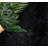 Mamdouh Faux Sheepskin Indoor Rug-1360825291