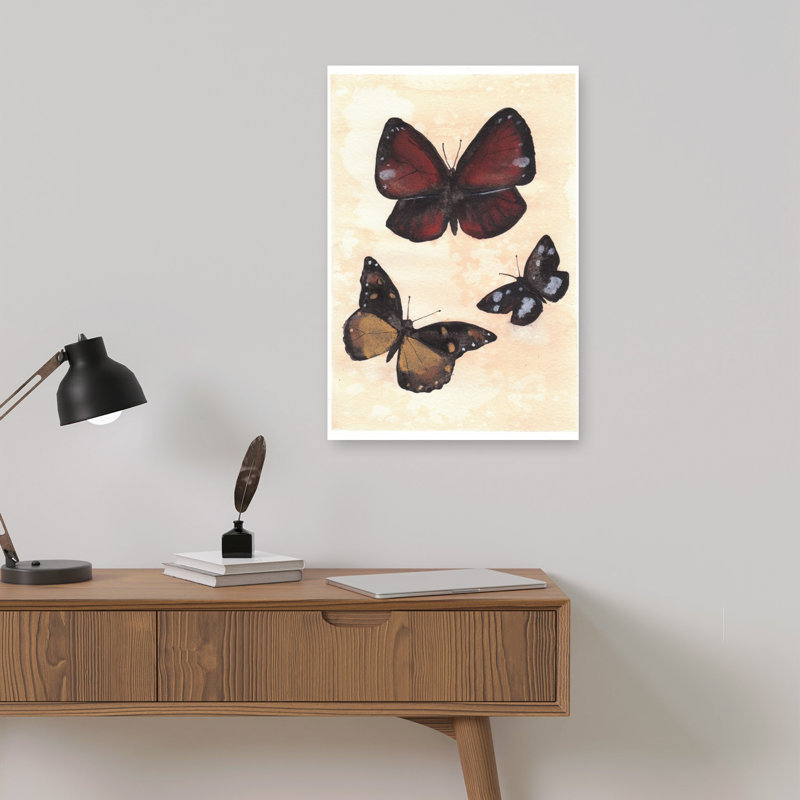 Diverse Butterflies Contemporary Butterfly Moth Wall Art Print by Christine Lindstrom - Print, 45.72cm H x 30.48cm W