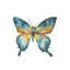 Vibrant Butterfly I Print by Beverly Fuller-26928280-26928281