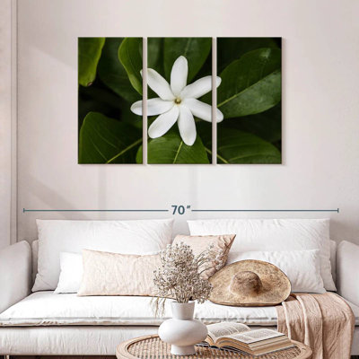 Harnek Fresh Jasmine Flower