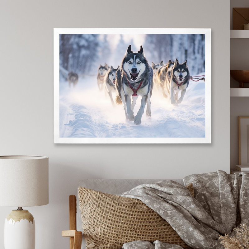 «Alaska Dog Sledding II», reproduction sur toile, H 34 po x l 44 po x P 1,5 po, Cadre photo blanc