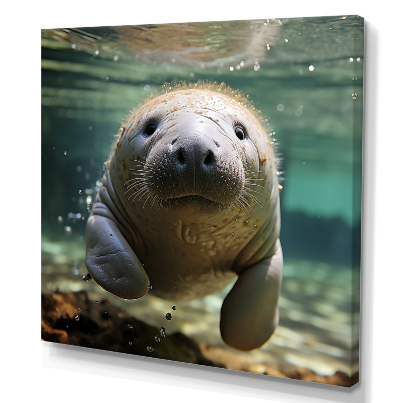 Curious Manatee Gaze II - Lamantin, art mural, H 16 po x l 16 po x P 1 po, Toile tendue