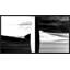 Polarized 2 Print by Mat Sanders