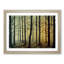 An Enthralling Forest - Framed Print-1442809896-1442809897