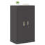 Storage Cabinet-1645948808