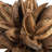 Vickerman All Natural Star Pod, Extra Large, Dried 8'' Plant