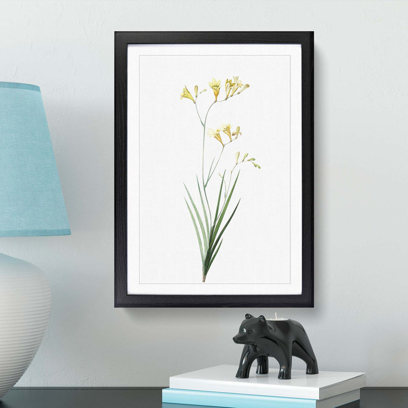Freesia Flowers by Pierre-Joseph Redoute - Picture Frame Painting Print, 65cm H x 48cm W x 2cm D, Black Framed