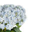 Tige de fleur artificielle Cole et Grey-855985901-855985902