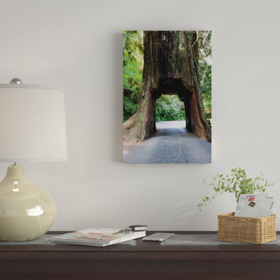 Chandelier Tree In Drive-Thru Tree Park, Redwood National And State Parks, California, USA by Panoramic Images - Wrapped Canvas Gallery-Wrapped Canvas Giclée