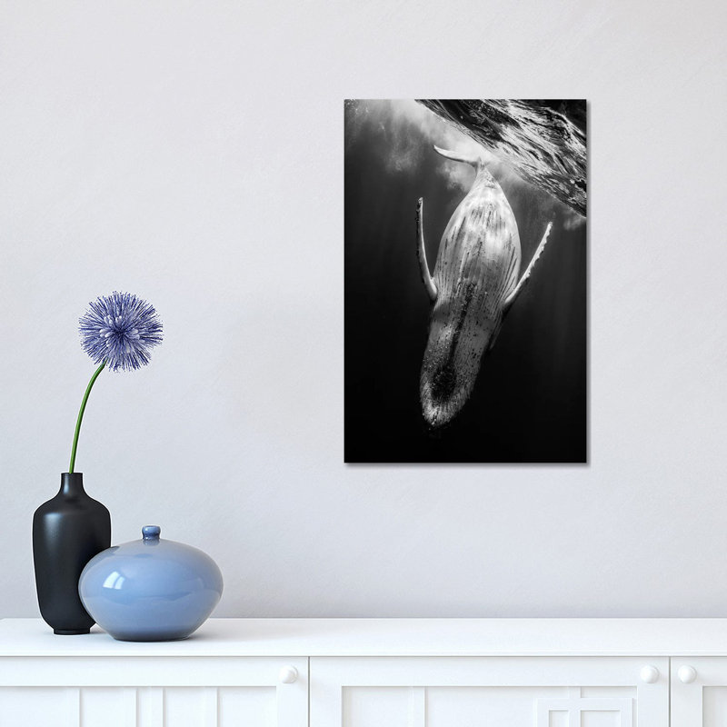 Black & Whale by Barathieu Gabriel - Wrapped Canvas Print, 45.72cm H x 30.48cm W x 1.91cm D