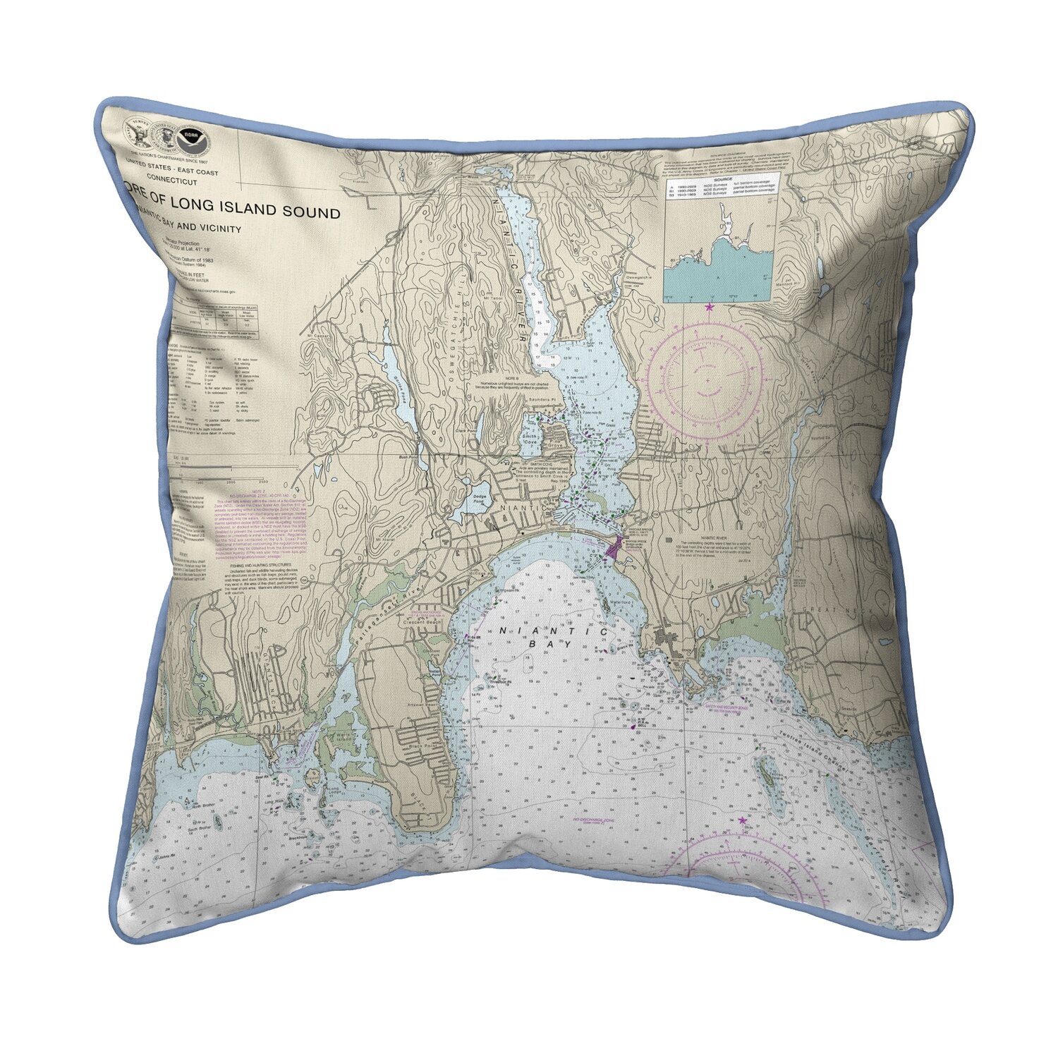 Cotton / Polyester Blend Indoor/Outdoor Throw Pillow Northwest