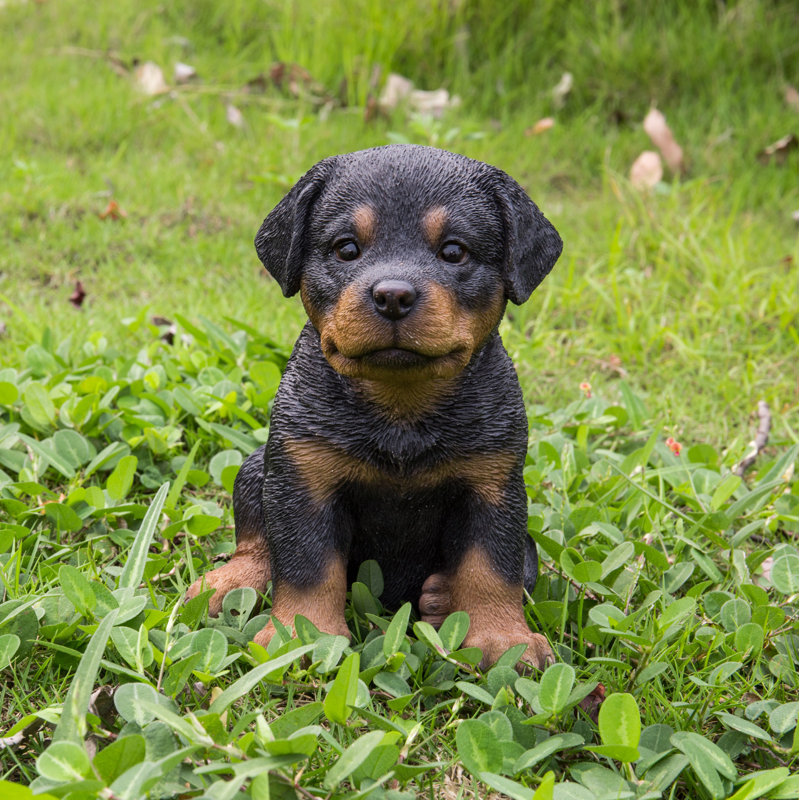 Statue chiot rottweiler assis