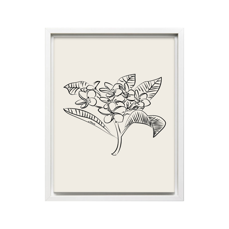 Croquis de fleur de plumeria, Canevas, Encadrement blanc, H 08 po x l 10 po