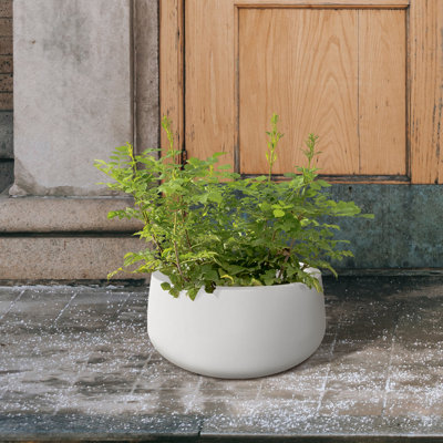 Dovenby Concrete Pot Planter