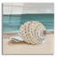 «She Sells Seashells 2» par Alicia Ludwig, art mural en verre acrylique-1423771308