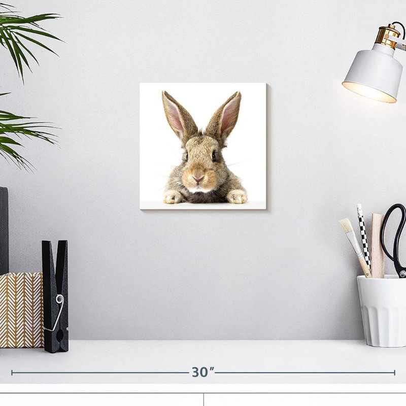 Crowle Fluffy Easter Rabbit, 10" H x 10" W