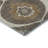 Premium Machine Washable Prisco Brown Rug-1657647724