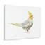 No Frame Print on Canvas-1147682102